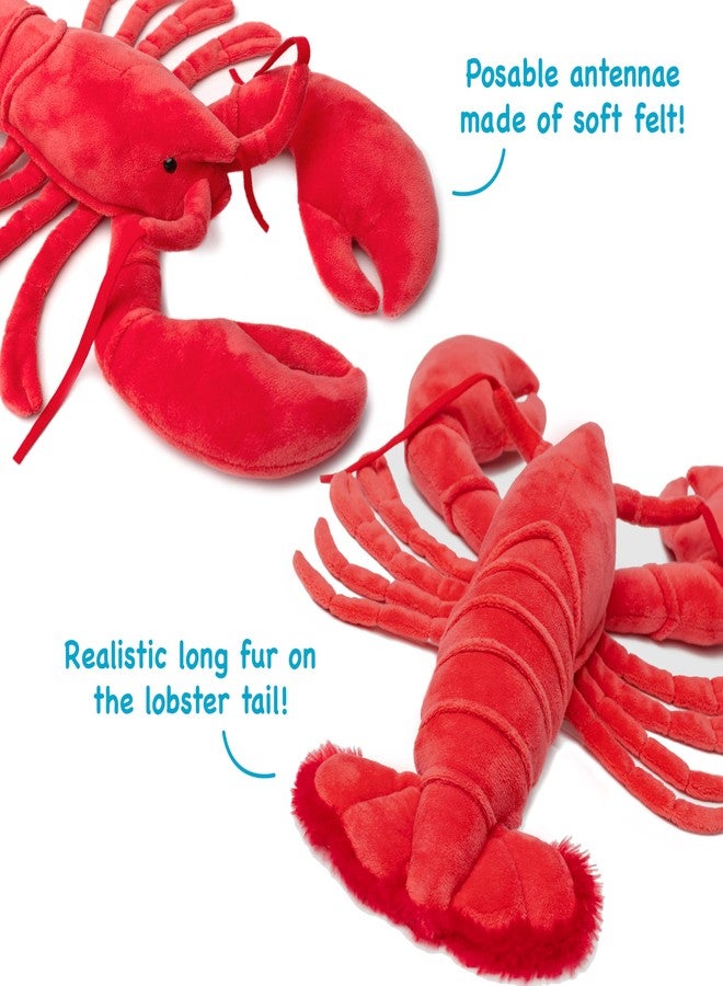 TigerHart Lenora The Lobster - 13 Inch Stuffed Animal Plush - Image 5